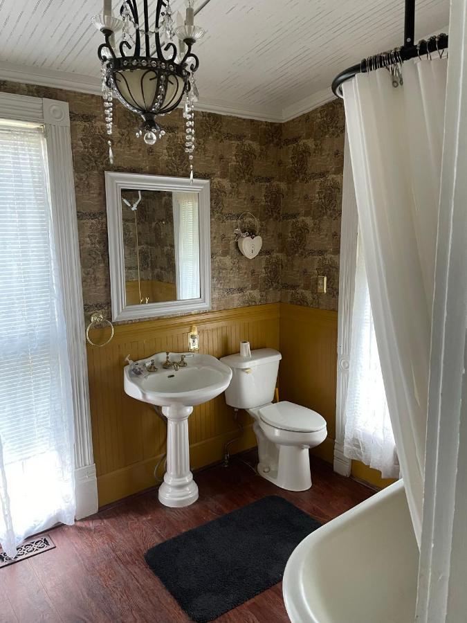 Irishette - Charming Suite In 1893 Victorian Home Dublin Exteriör bild